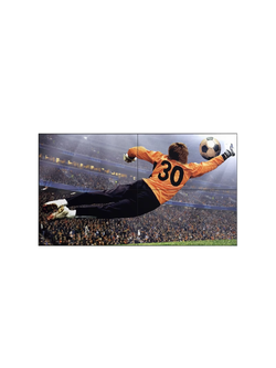 LG 49VL5G-M 49" Interactive Digital Board