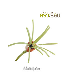 Seagull มีดซอยผักบุ้ง