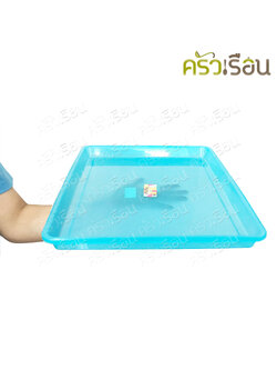 SN ถาดเหลี่ยมพลาสติก SN9883/1 คละสี (15 นิ้ว x 19.5 นิ้ว) ไม่สามารถเลือกสีได้