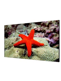 DS-D2046NL-C HIKVISION 46-inch 3.5mm LCD Display Unit