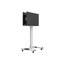 CNXD T015-SP Mobile TV Stand