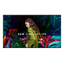 Samsung 65" Standalone Signage QBC (LH65QBCEBGCXXT)
