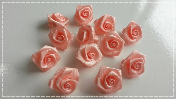 ดอกกุหลาบริบบิ้น สีโอโรส