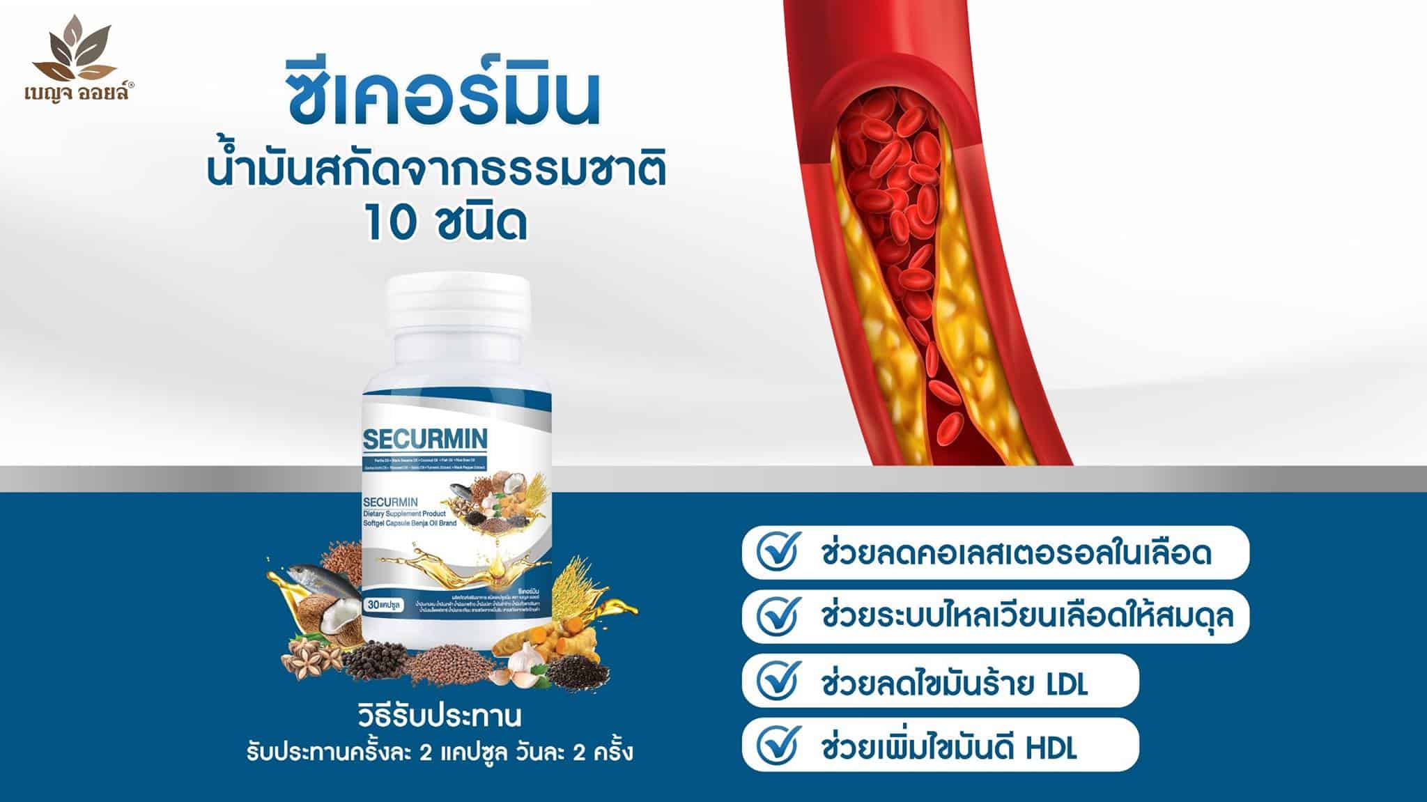 BENJA OIL SECURMIN