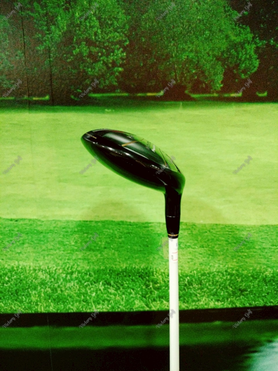 Fairway Honma Amazing Spec Perfect Switch 5/18 ( Perfect Switch )/ ( S )