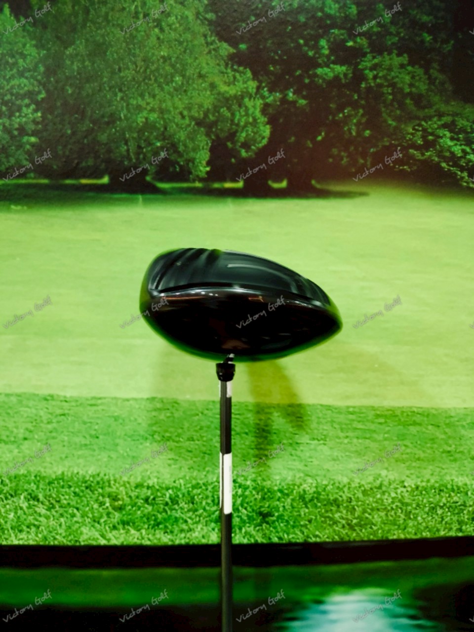 Driver Progress BB6 Endless Ambition 9.5 ( Basileus )/ ( SR )