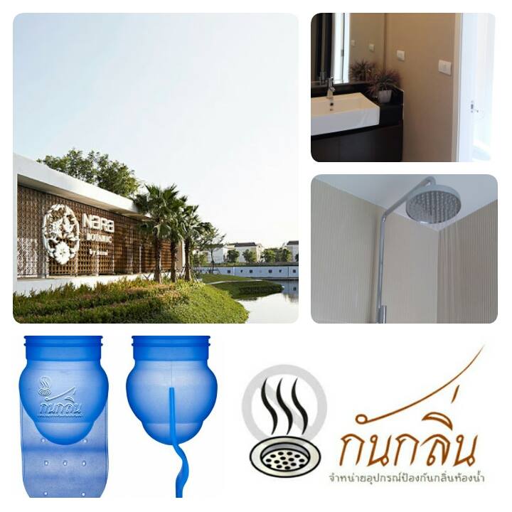 โครงการ Nara botanic srinakarin