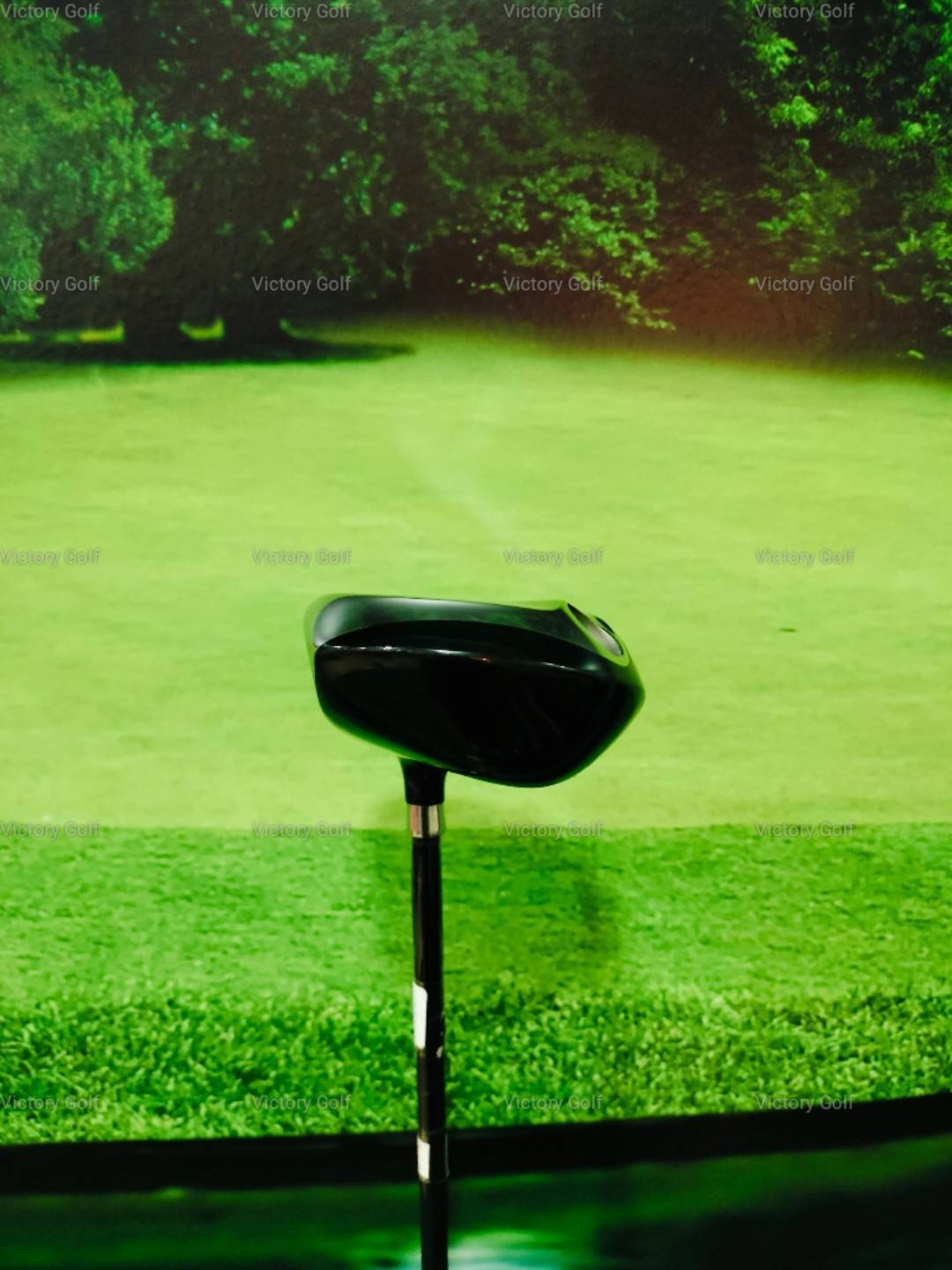 Fairway Hexus LS w.5/19 ( HEXUS Lite Spec) / (R)