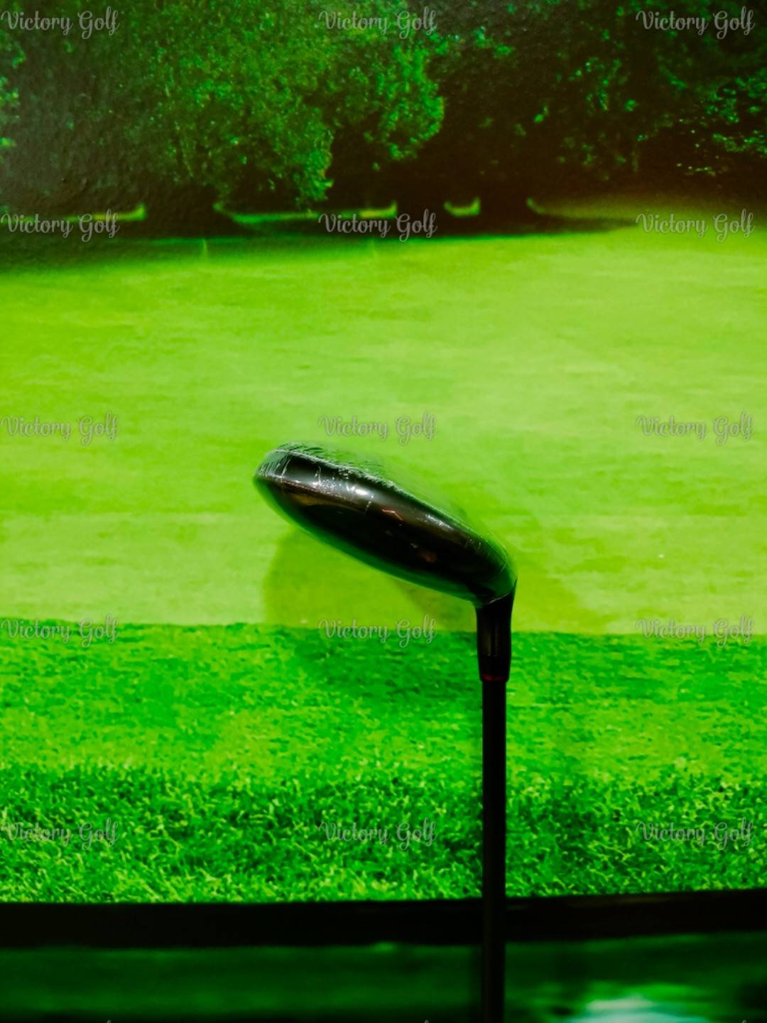 Ut. ON-OFF Model WINGS AKA 2024 U.3/18 (Flex: R)