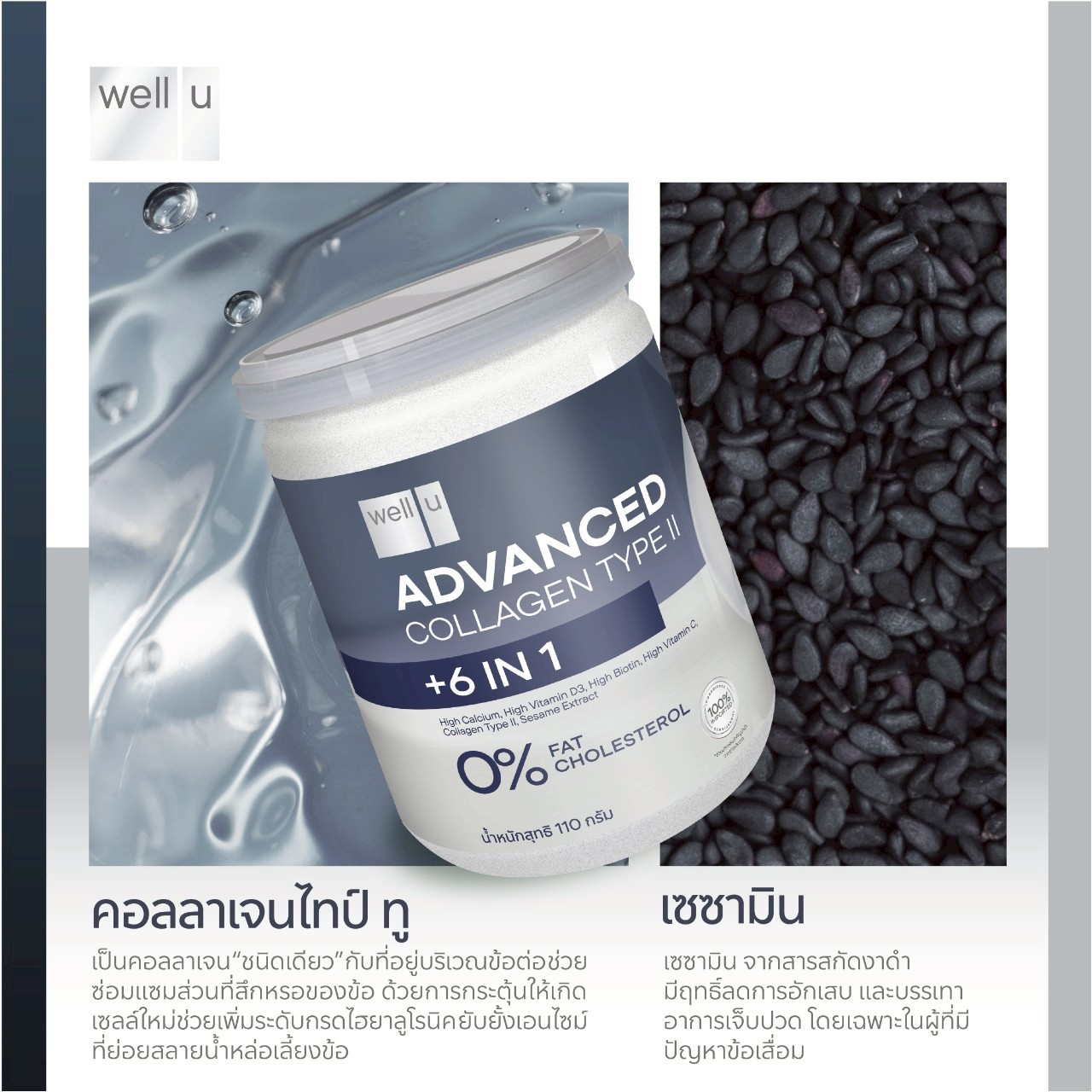 Well Advanced Collagen Type ll เขตต์