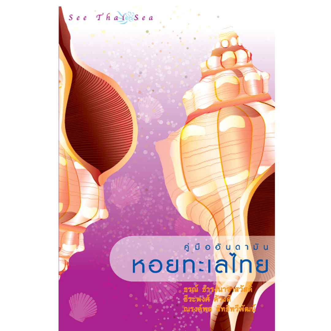 คู่มืออันดามัน หอยทะเลไทย