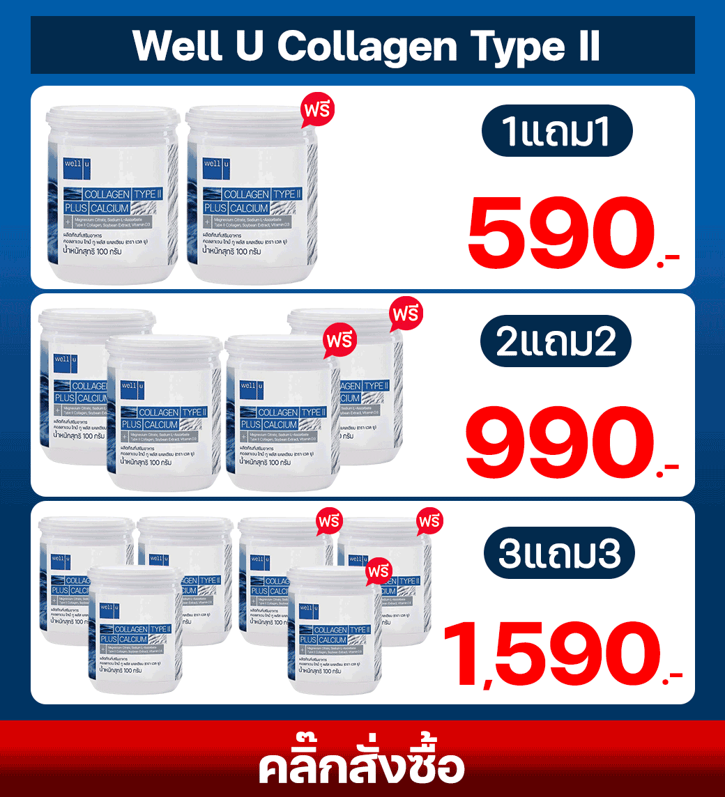 Well U Collagen Type II (เวลยู คอลลาเจน ไทป์ ทู)