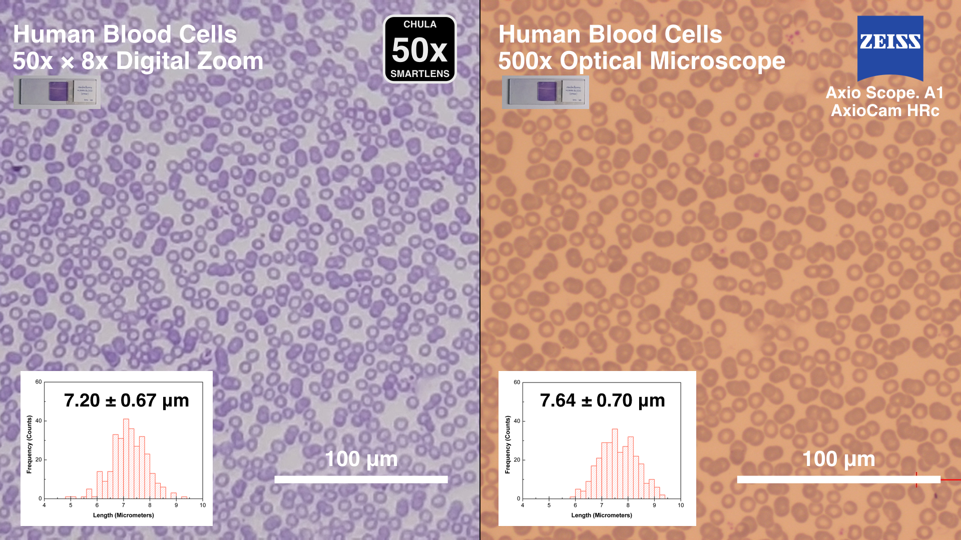 CUsmartlens 50X (เปลี่ยนมือถือให้เป็นกล้องจุลทรรศน์)