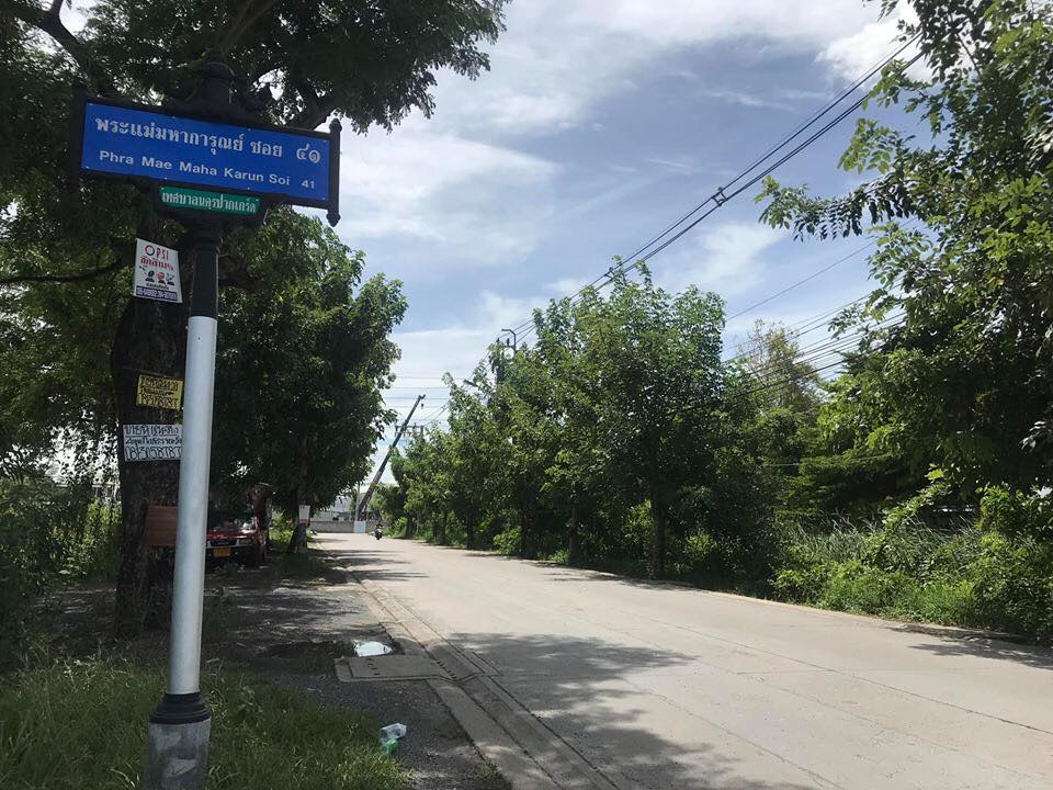 ขายที่ดิน ซอยพระแม่การุณย์ ซอย41 (รหัสทรัพย์ 2019154) ต.บ้านใหม่ อ.ปากเกร็ด จ.นนทบุรี