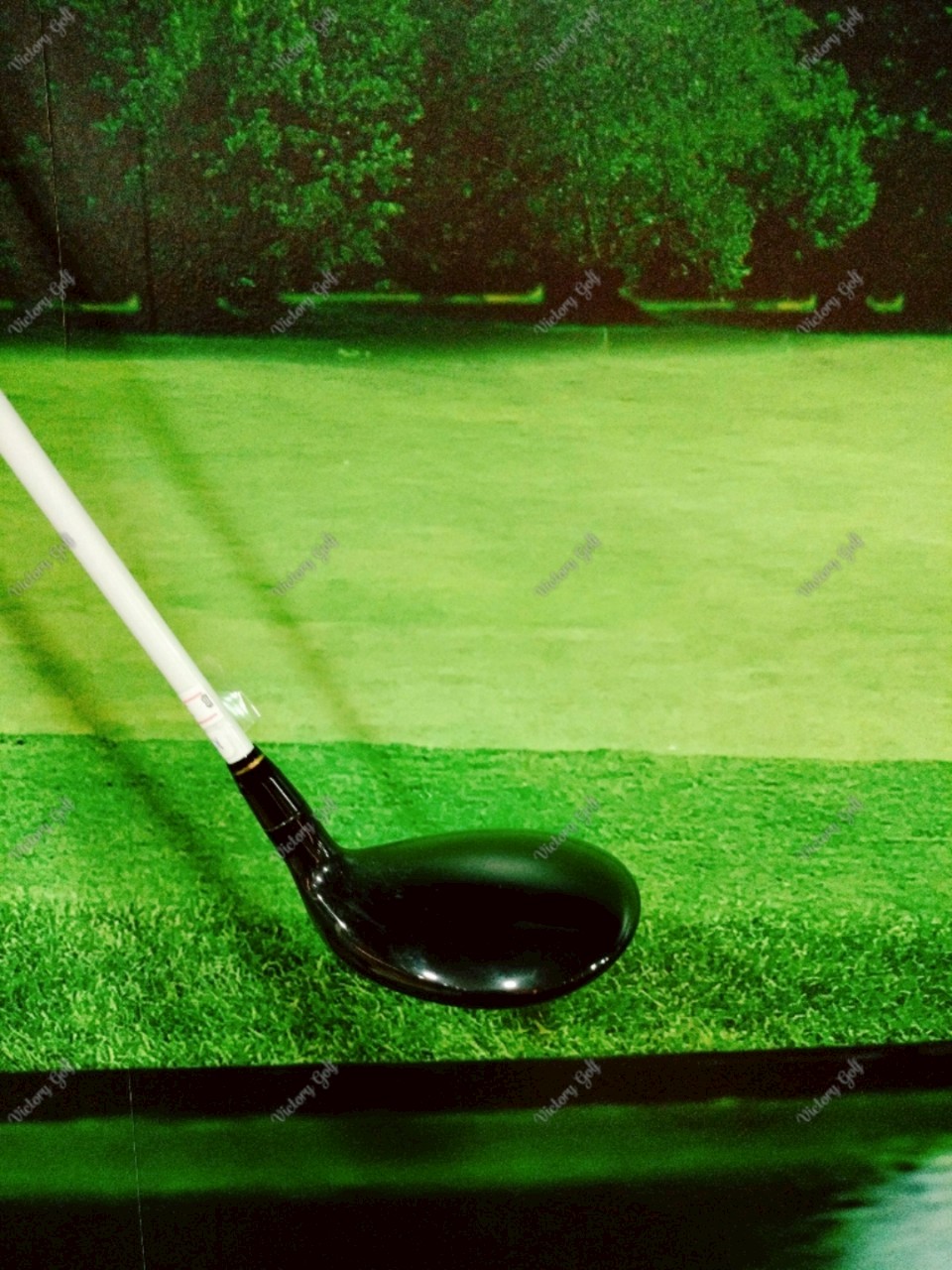 Fairway Honma Amazing Spec Perfect Switch 5/18 ( Perfect Switch )/ ( S )