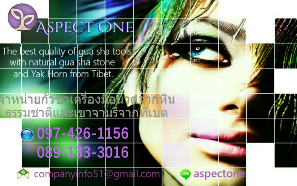 Aspect One