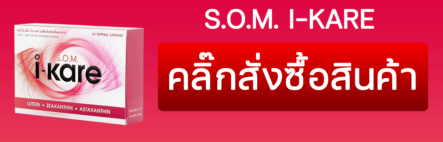 S.O.M. I-KARE (เอส.โอ.เอ็ม. ไอ แคร์)