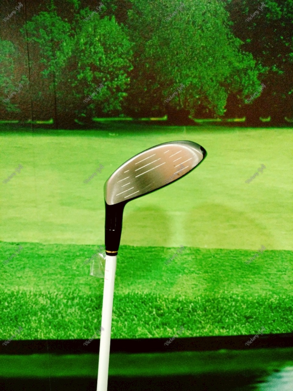 Fairway Honma Amazing Spec Perfect Switch 7/21 ( Perfect Switch )/ ( SR )