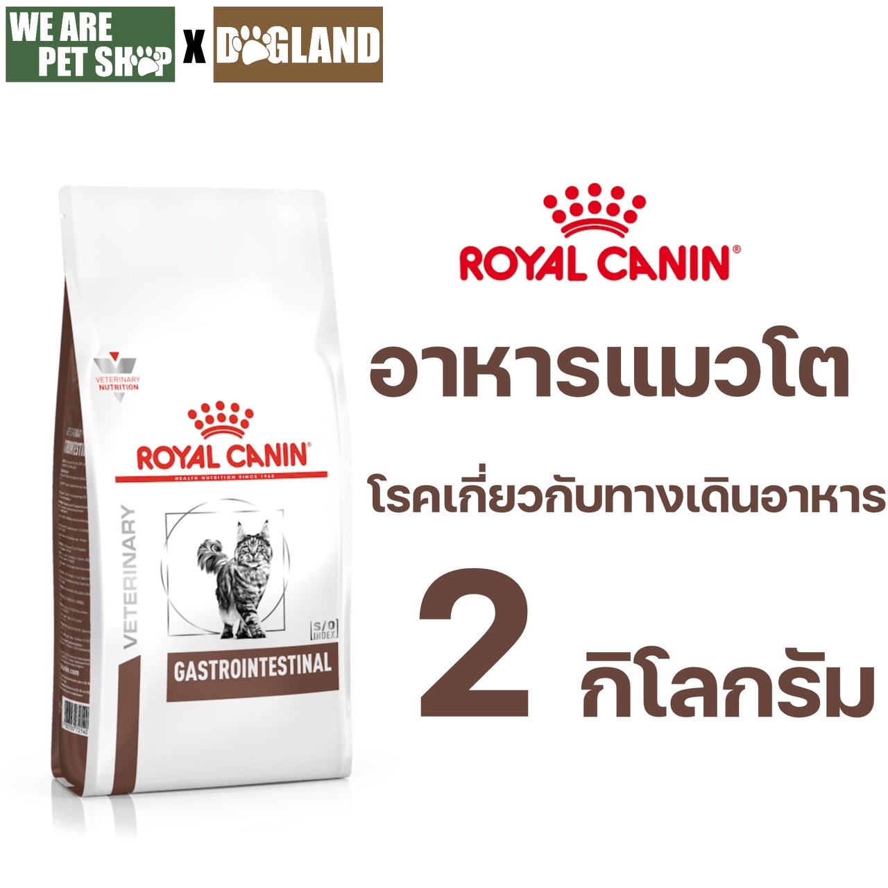 GASTROINTESTINAL แมวโต ท้องเสีย 2 กก.