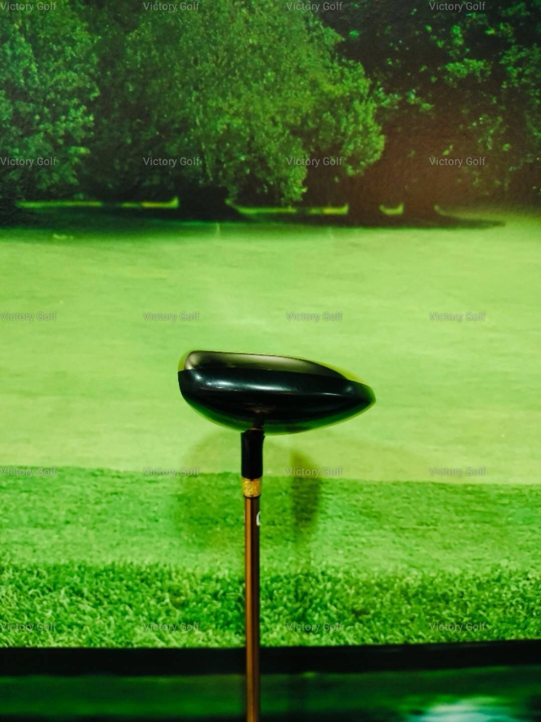 Fairway Spiderman SPM02 3/15 (Protec Wing Blue) / (R-1)