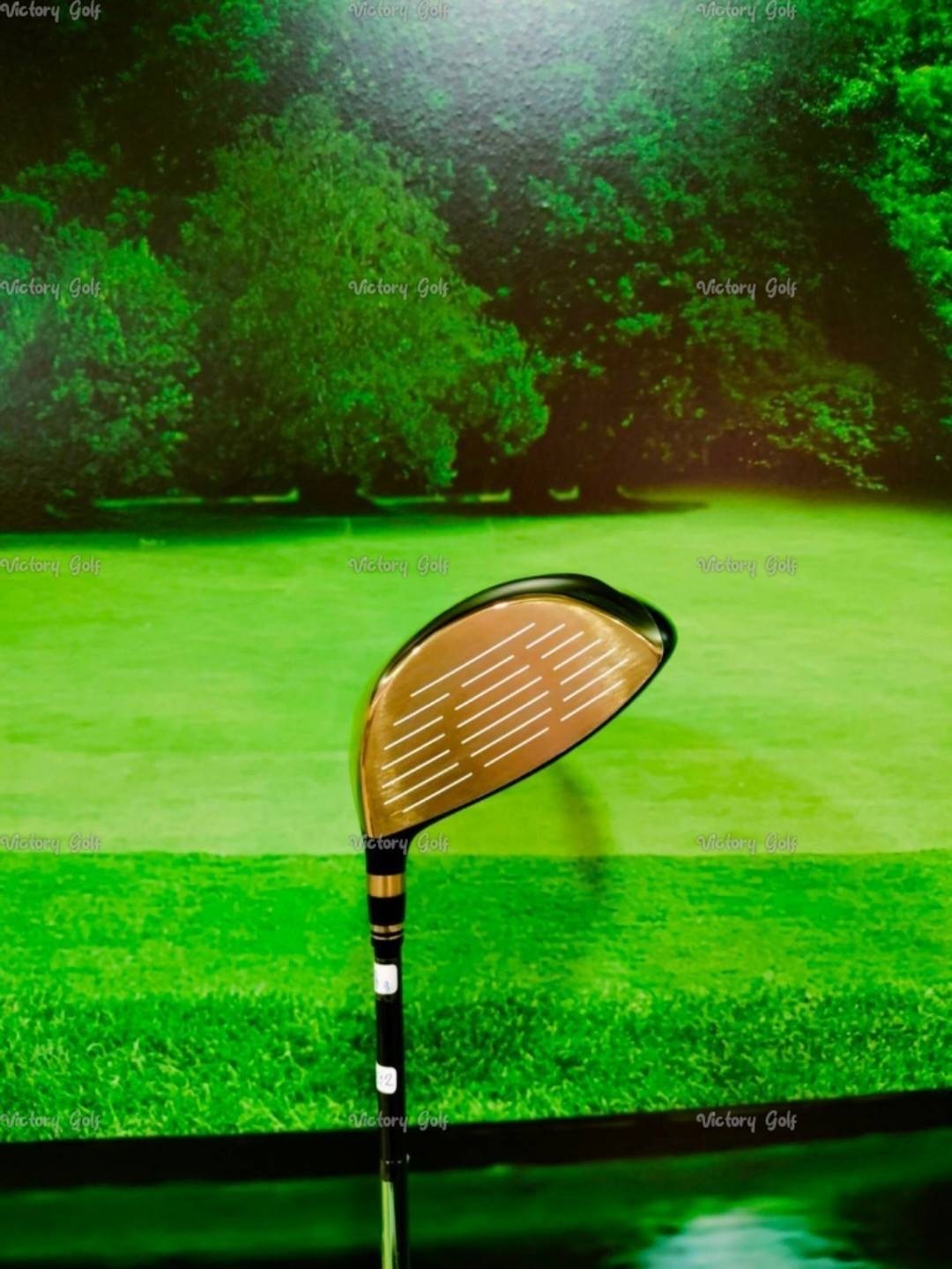 Driver Ryoma Maxima Type G Loft 9.5 (Tour AD M2-V / SR)