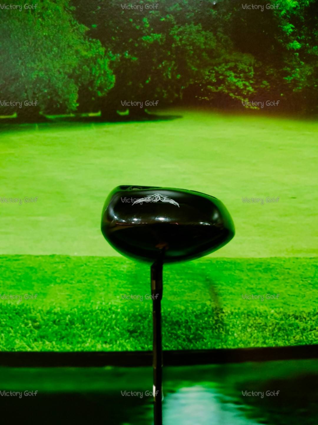 Driver Crazy CRZ+435ll (PWR65) / (S)