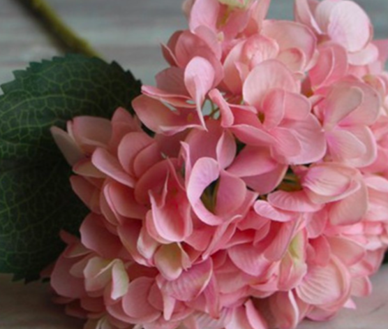 ดอกไม้งานผ้า ไฮเดรนเยีย สวยมากๆค่ะ มีหลายสีนะคะ