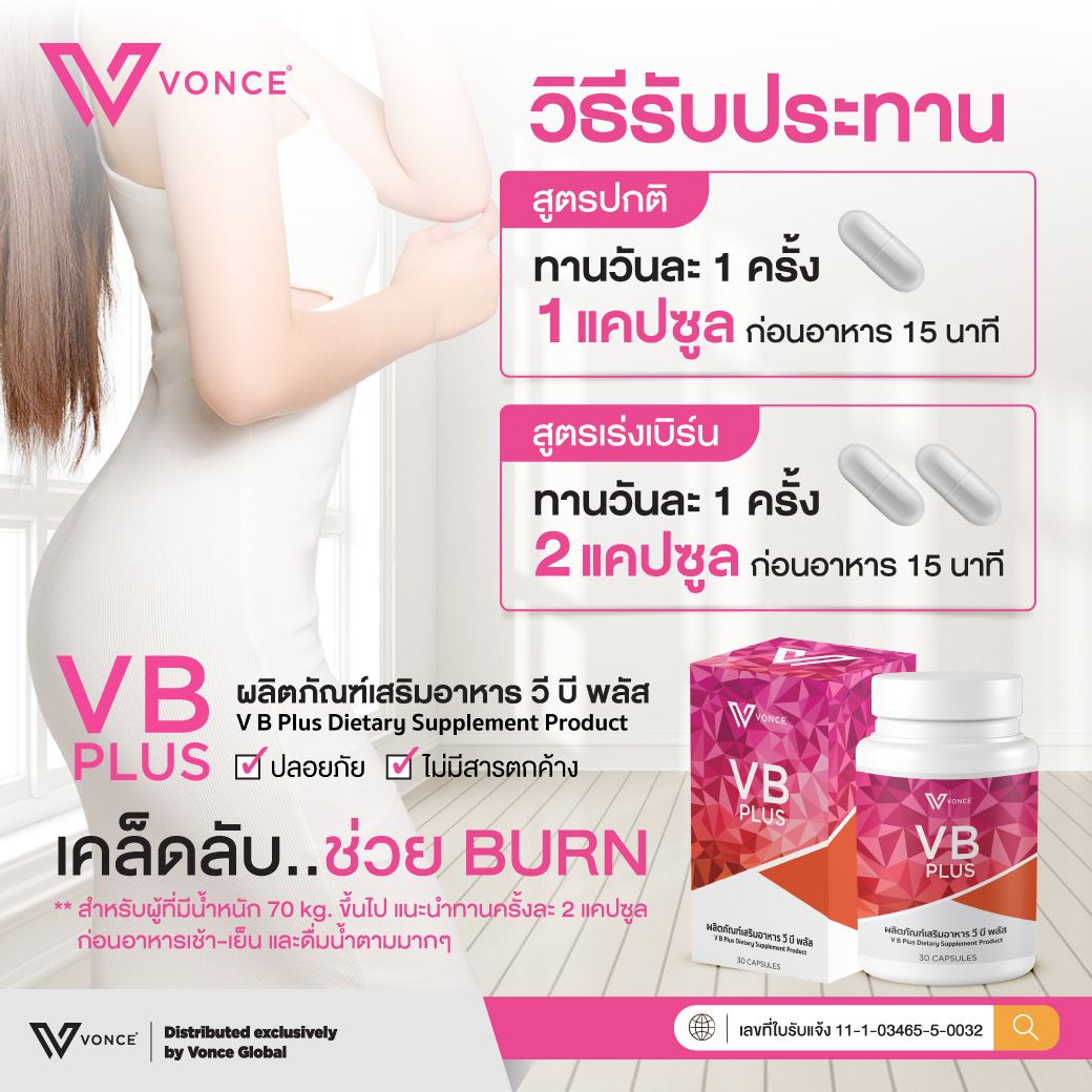 vb plus วีบี พลัส
