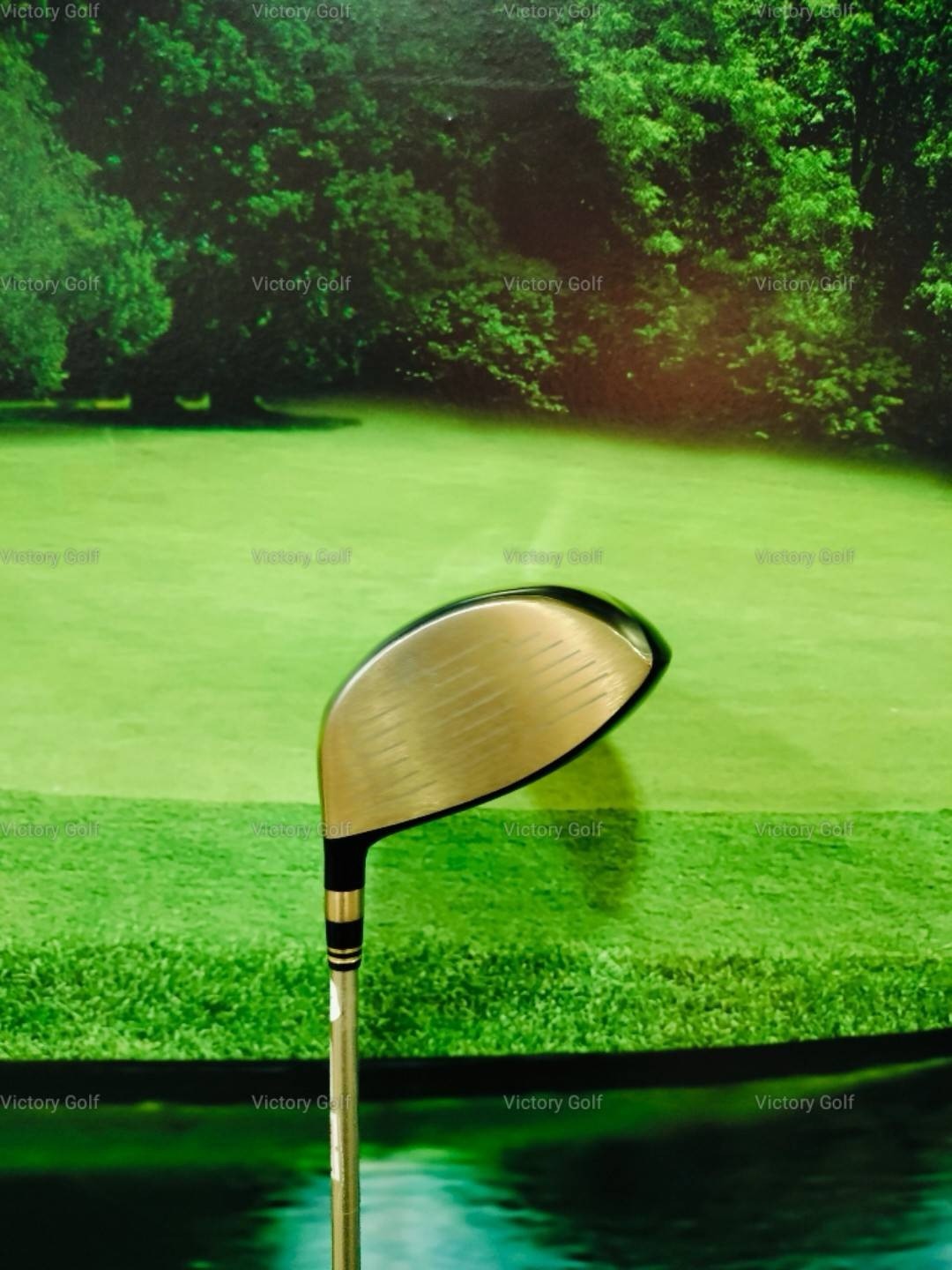 Driver Ryoma D-1 Maxima Special tuning 10.5 (Tour AD M2-G) / (SR)