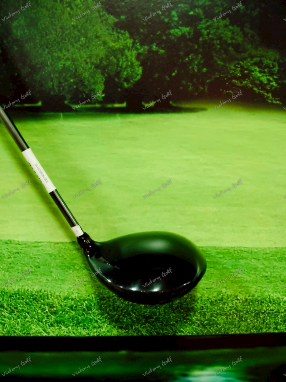 Driver Progress BB6 Endless Ambition 9.5 ( Basileus )/ ( SR )