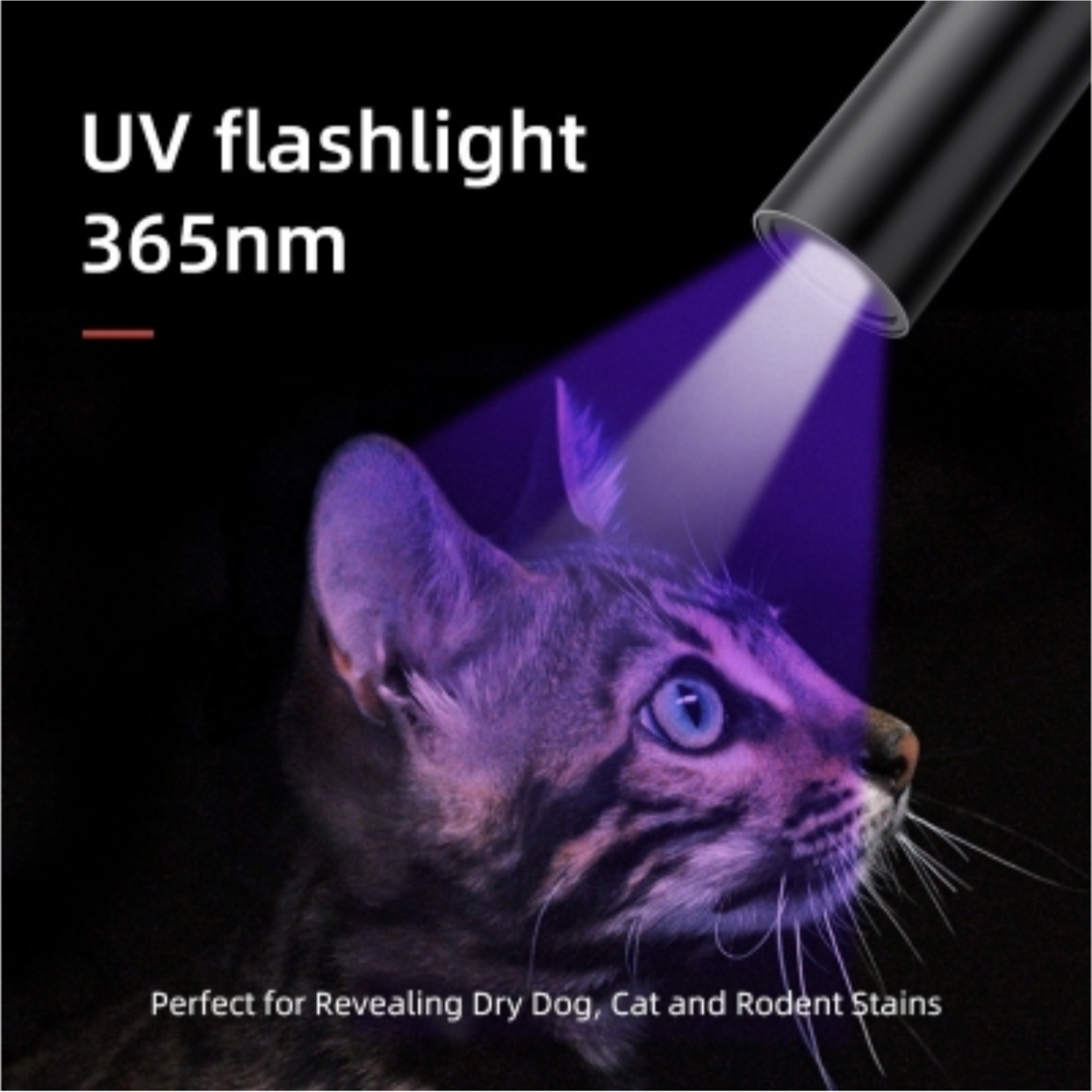 SupFire ไฟฉาย แสง UV S11-H