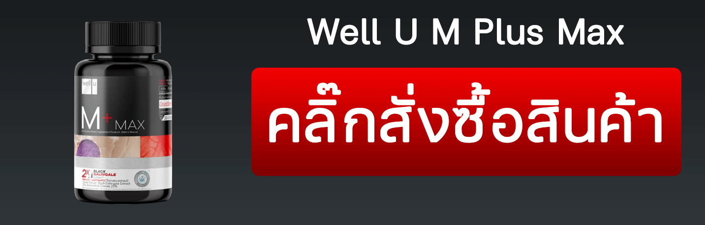 Well U M Plus Max