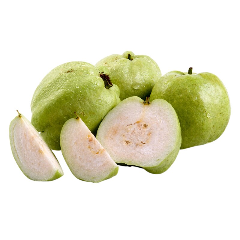 ฝรั่งกิมจู (Kim Joo Guava)
