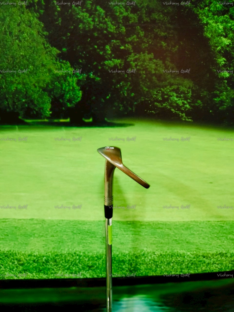 Weged Taylormade HI-TOE 56/10 (Dynamic Gold) / (S200)