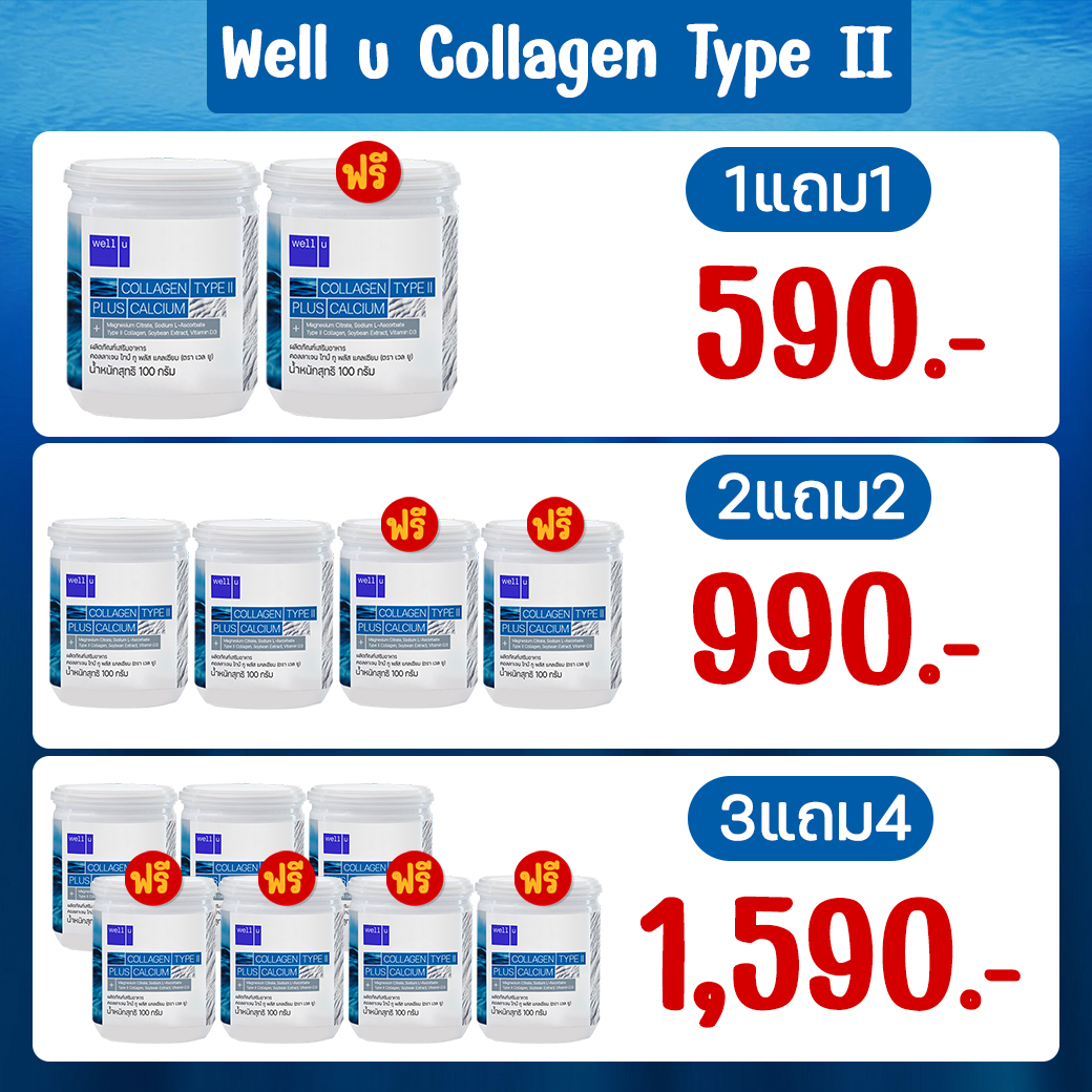 Well U Collagen Type II (เวลยู คอลลาเจน ไทป์ ทู)