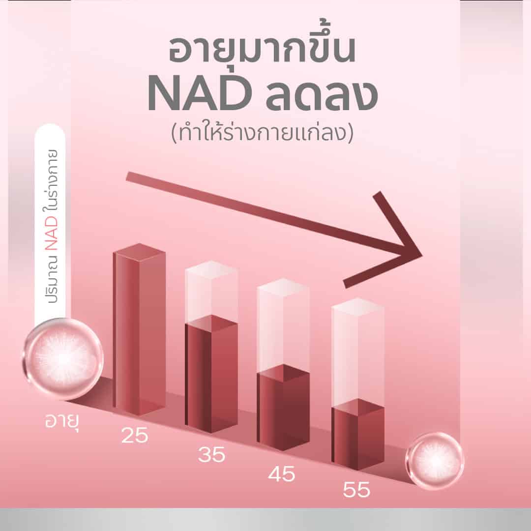 เวลยู แนส รีวิว