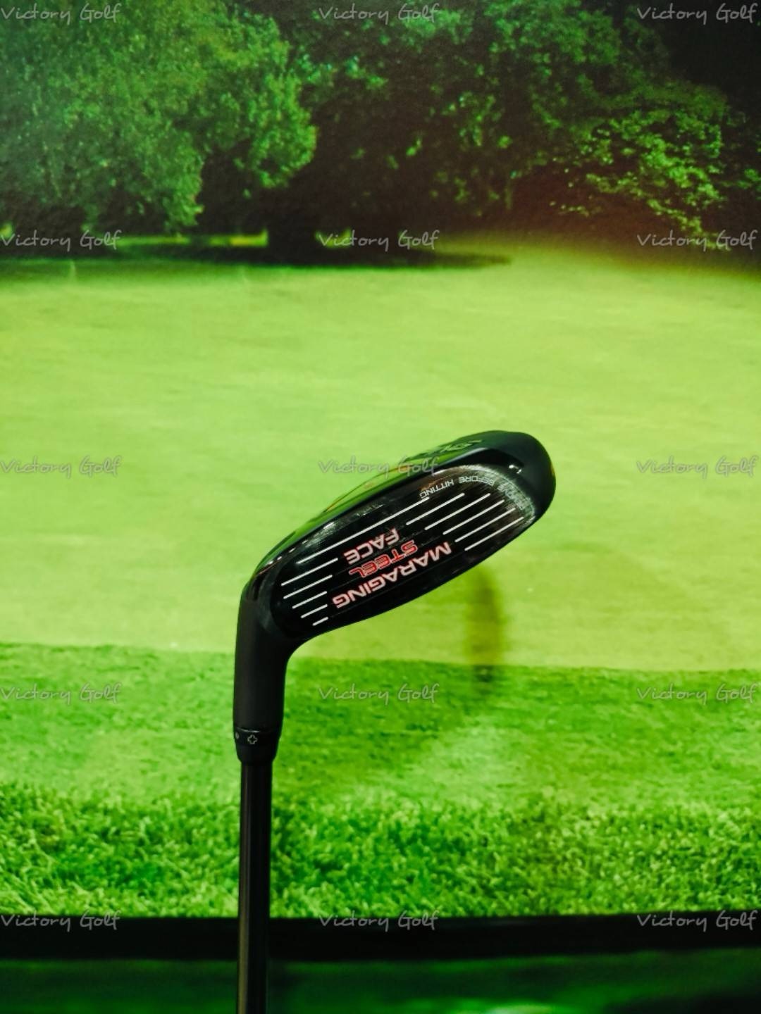 Ut. Ping G410 ( 3/19 ) Alta J CB ( Flex: S )