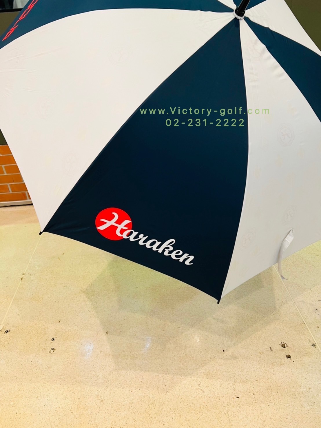 Umbrella DOCUS From Japan (UV Cut Rate99%) (Cloth 100%) (80cm.)