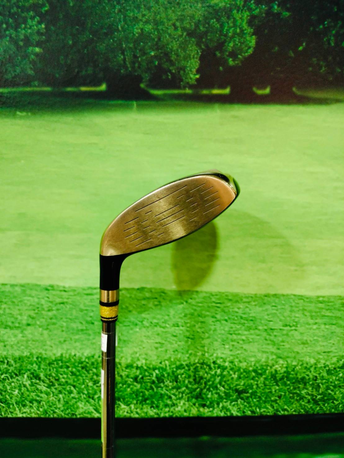 Utility Grand Prix GP PLATINUM /17 ( S )