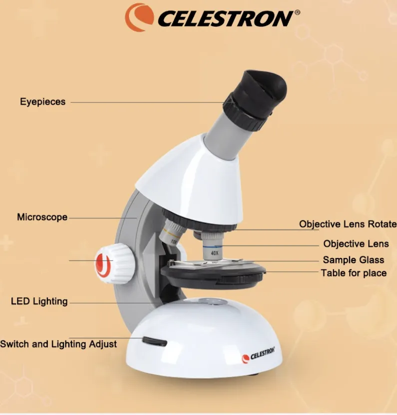 Celestron กล้องจุลทัศน์ S82102 40X - 640X
