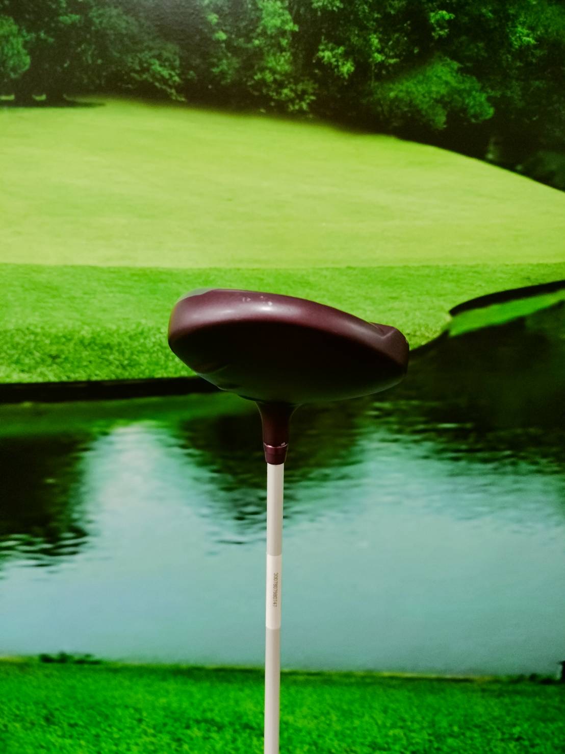 Fw.Ping Gle 2 w.3 flex : L (loft 19)