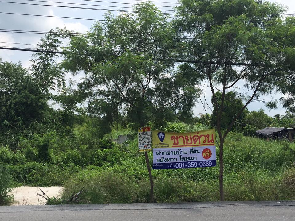 ขายที่ดินติดถนน (ถนนกว้าง 6 เมตร)จำนวน 29.5 ไร่ คลอง 9 (ถ.เลียบคลองประตูระบายน้ำคลอง 9) ปทุมธานี รหัส L3