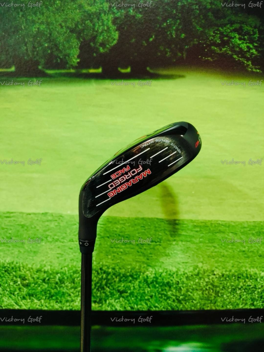 Fw. Ping G410 ( 3/14.5 ）ALTA J CB ( Flex: S )