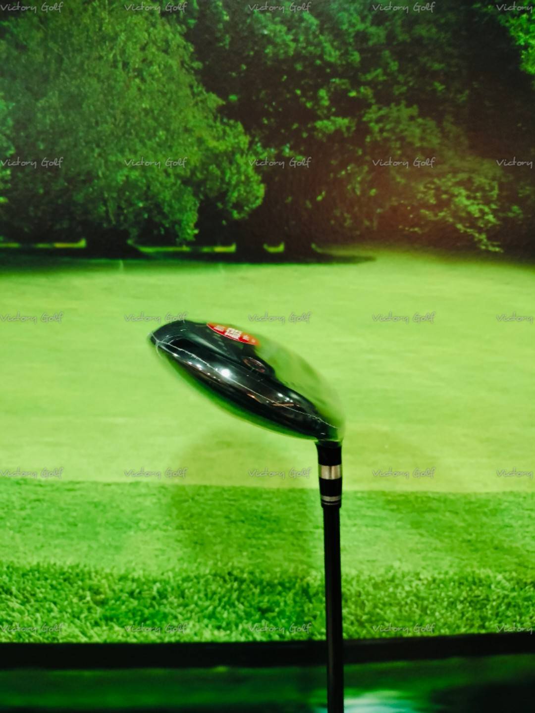 Fairway Ryoma Maxima W.5 ( Special Tuning ) ( Tour AD/ R )