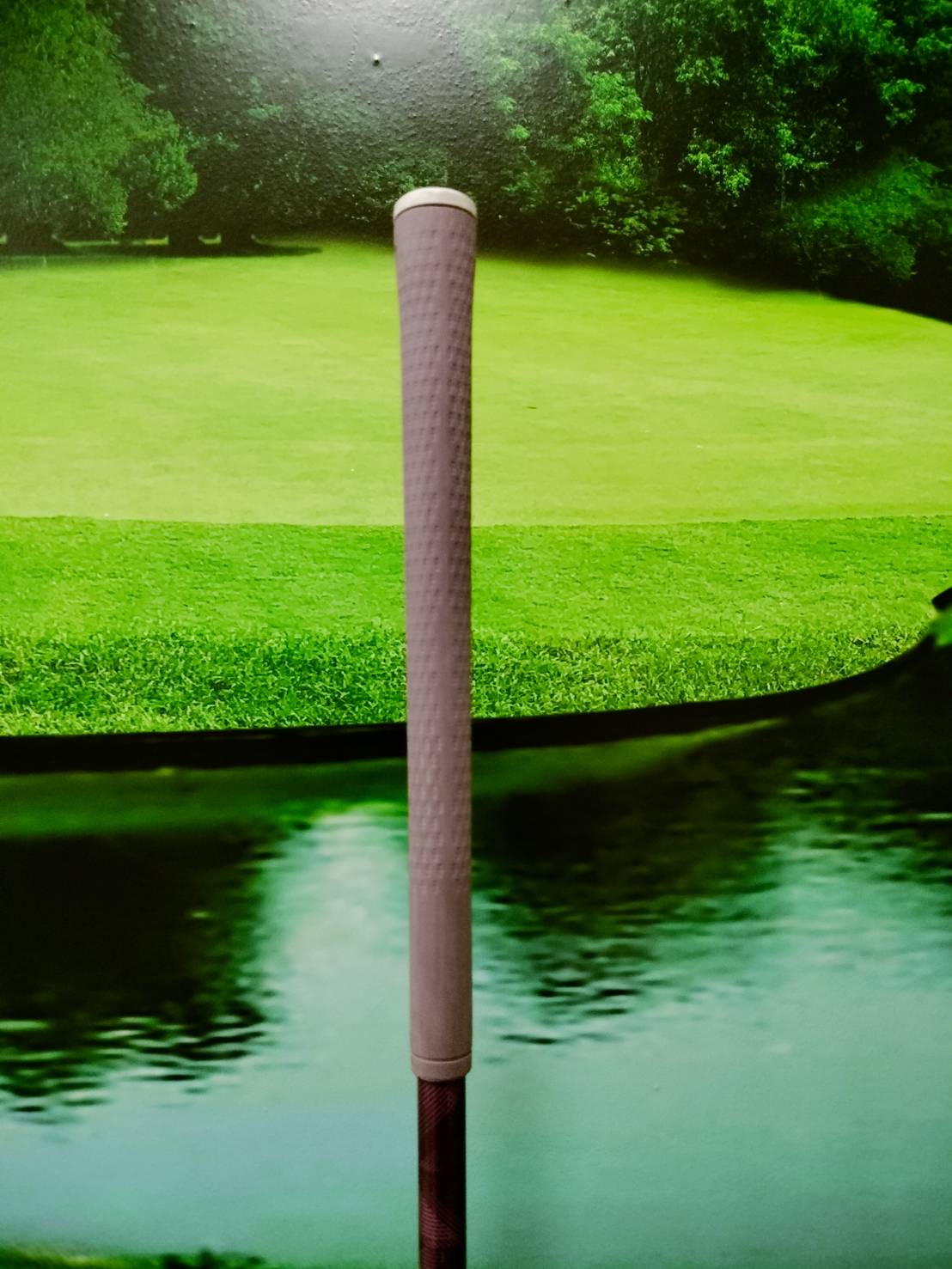 Fw.Ping Gle 2 w.3 flex : L (loft 19)