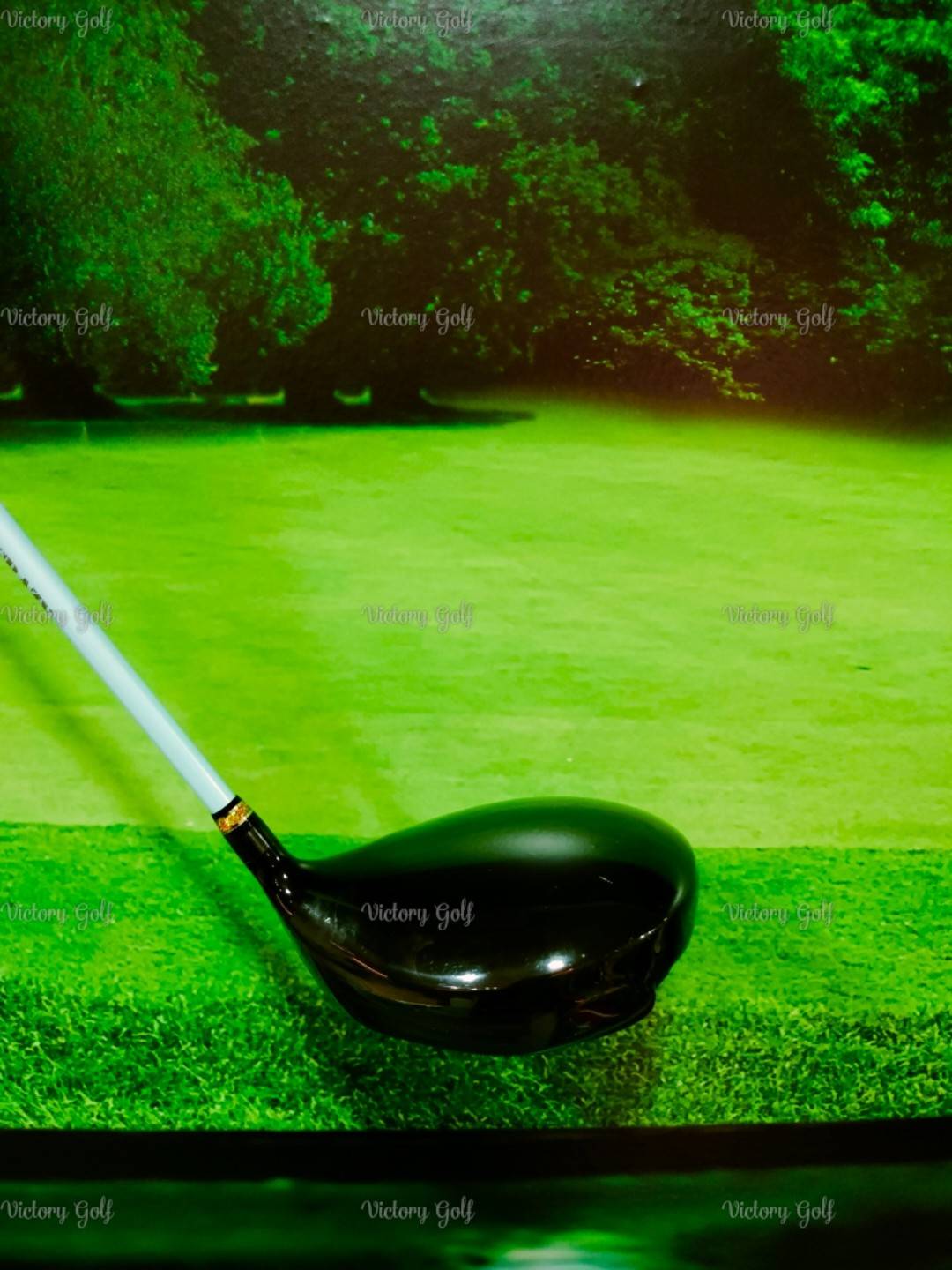 Driver Mutsumi Honma MH488MAX Loft 10.5 PREMIUM TITANIUM (CRAZY ARROW Shaft) (S) 39g.