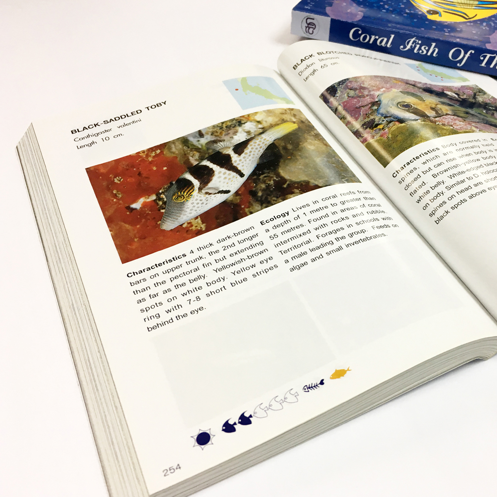 Coral Fish of Thailand