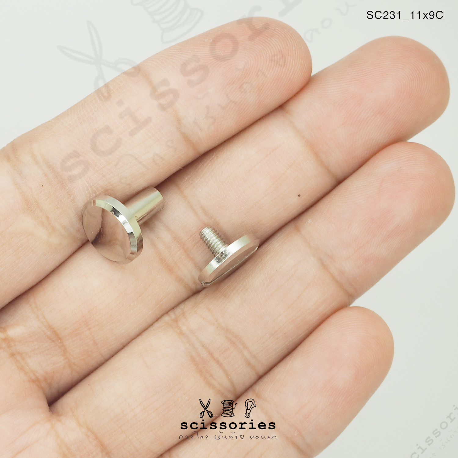 น๊อต สีเงิน จำนวน 2ตัว