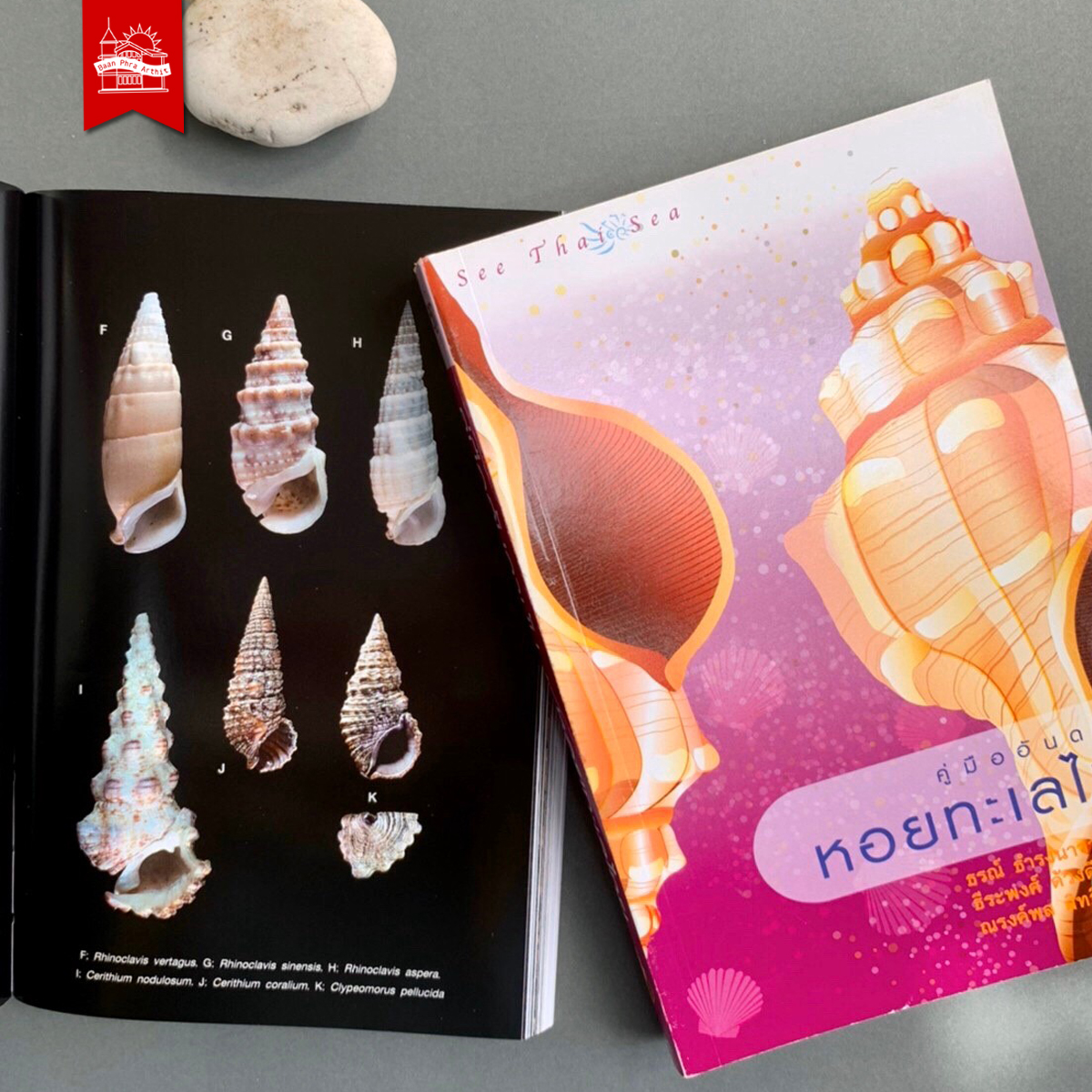 ชุด สัตว์ทะเลอันดามัน ( กุ้ง – หอย – ปู )