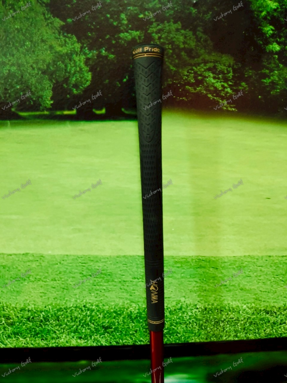 Fw. Honma Beres 3-Star 3/15 ( ARMRQ 3-Star )/ (R)